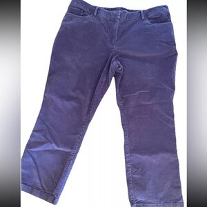 Brooks brothers 346 ladies grape cotton Corduroy straight‎ leg high rise size 16